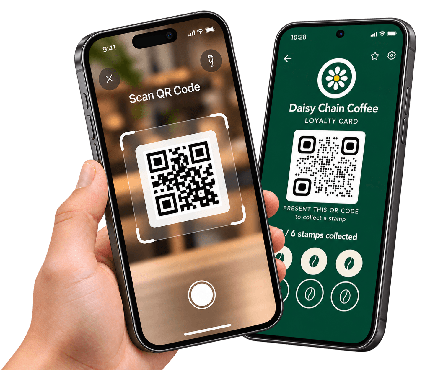 The Loytu app scanning a Daisy Chain Coffee loyalty card QR code to add a stamp